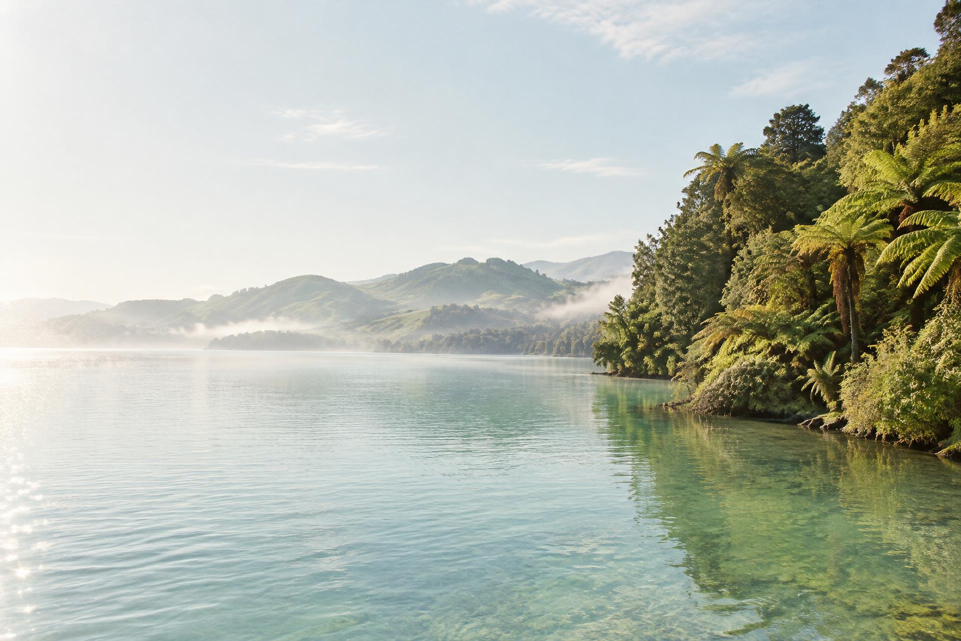 Still lake waters beside lush native forest and misty green hills