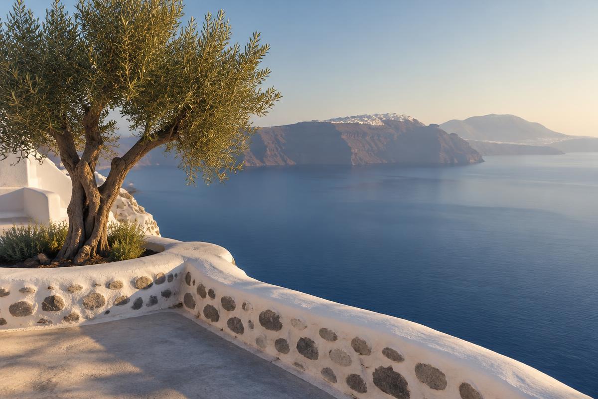 Whitewashed Santorini terrace with an olive tree looking out over the deep blue caldera